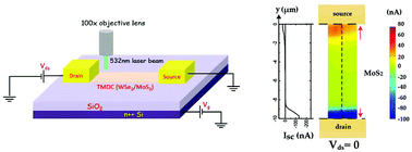 Graphical abstract: A study of lateral Schottky contacts in WSe2 and MoS2 field effect transistors using scanning photocurrent microscopy