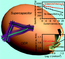 Graphical abstract: Freestanding eggshell membrane-based electrodes for high-performance supercapacitors and oxygen evolution reaction