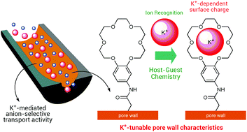 Graphical abstract: Host–guest supramolecular chemistry in solid-state nanopores: potassium-driven modulation of ionic transport in nanofluidic diodes