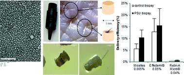 Graphical abstract: Self-assembled polymeric nanocarriers for the targeted delivery of retinoic acid to the hair follicle