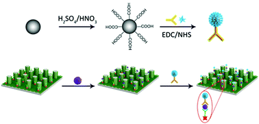 Graphical abstract: A 3D graphene oxide microchip and a Au-enwrapped silica nanocomposite-based supersandwich cytosensor toward capture and analysis of circulating tumor cells