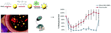 Graphical abstract: Insulin-coated gold nanoparticles as a new concept for personalized and adjustable glucose regulation