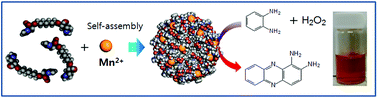 Graphical abstract: Peroxidase-like oxidative activity of a manganese-coordinated histidyl bolaamphiphile self-assembly