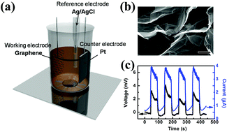 Graphical abstract: A high energy output nanogenerator based on reduced graphene oxide