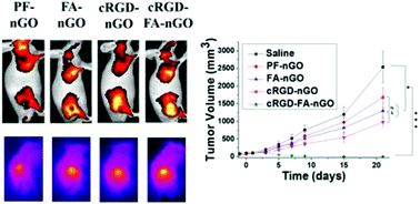 Graphical abstract: The synergistic effect of folate and RGD dual ligand of nanographene oxide on tumor targeting and photothermal therapy in vivo