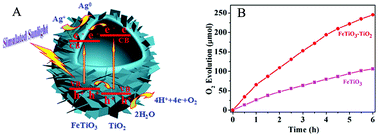 Graphical abstract: Hierarchical FeTiO3–TiO2 hollow spheres for efficient simulated sunlight-driven water oxidation