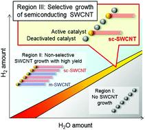Graphical abstract: A phenomenological model for selective growth of semiconducting single-walled carbon nanotubes based on catalyst deactivation