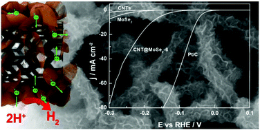 Graphical abstract: A CNT@MoSe2 hybrid catalyst for efficient and stable hydrogen evolution
