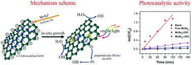 Graphical abstract: CTAB-assisted synthesis of novel ultrathin MoSe2 nanosheets perpendicular to graphene for the adsorption and photodegradation of organic dyes under visible light