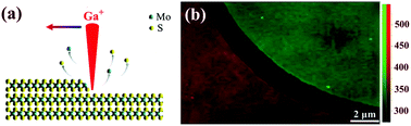 Graphical abstract: Layer-by-layer thinning of two-dimensional MoS2 films by using a focused ion beam