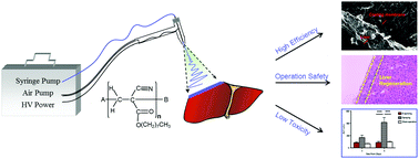 Graphical abstract: In situ precision electrospinning as an effective delivery technique for cyanoacrylate medical glue with high efficiency and low toxicity