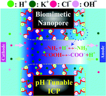 Graphical abstract: Ion transport and selectivity in biomimetic nanopores with pH-tunable zwitterionic polyelectrolyte brushes