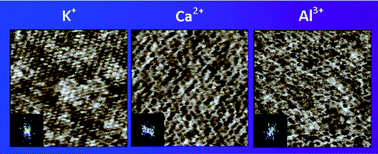 Graphical abstract: Metal ion adsorption at the ionic liquid–mica interface