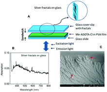 Graphical abstract: Sandwich type plasmonic platform for MEF using silver fractals