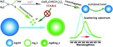 Graphical abstract: Real-time scattered light dark-field microscopic imaging of the dynamic degradation process of sodium dimethyldithiocarbamate