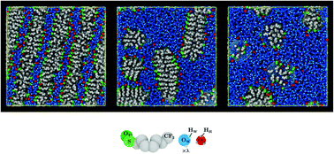 Graphical abstract: Sub-diffusion and population dynamics of water confined in soft environments