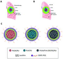 Graphical abstract: Improving DNA double-strand repair inhibitor KU55933 therapeutic index in cancer radiotherapy using nanoparticle drug delivery