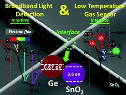 Graphical abstract: Interface engineering: broadband light and low temperature gas detection abilities using a nano-heterojunction device