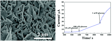 Graphical abstract: Synthesis of porous NiO/CeO2 hybrid nanoflake arrays as a platform for electrochemical biosensing