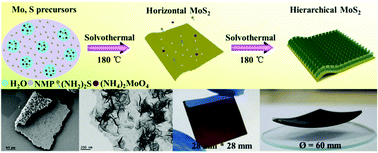 Graphical abstract: Direct synthesis of large-scale hierarchical MoS2 films nanostructured with orthogonally oriented vertically and horizontally aligned layers