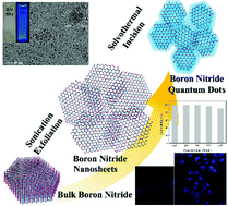 Graphical abstract: Facile preparation and multifunctional applications of boron nitride quantum dots