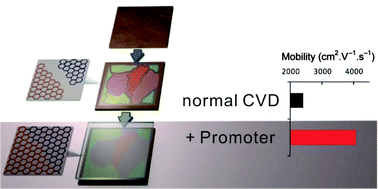 Graphical abstract: Enhancing CVD graphene's inter-grain connectivity by a graphite promoter