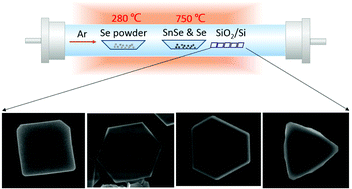 Graphical abstract: Designing the shape evolution of SnSe2 nanosheets and their optoelectronic properties