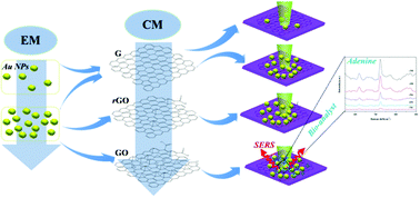 Graphical abstract: Tuning plasmonic and chemical enhancement for SERS detection on graphene-based Au hybrids