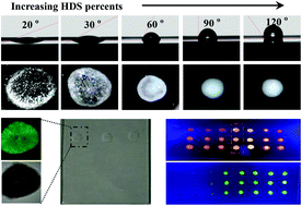 Graphical abstract: A fluorometric microarray with ZnO substrate-enhanced fluorescence and suppressed “coffee-ring” effects for fluorescence immunoassays