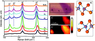 Graphical abstract: Anomalous Raman scattering and lattice dynamics in mono- and few-layer WTe2