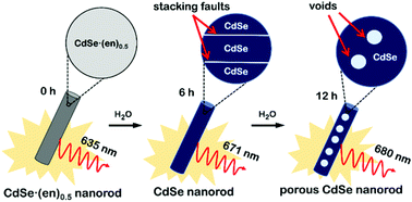 Graphical abstract: Dislocation-driven growth of porous CdSe nanorods from CdSe·(ethylenediamine)0.5 nanorods