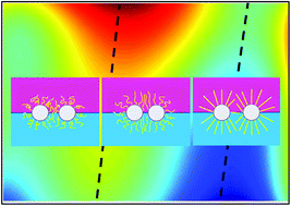 Graphical abstract: Chain stiffness regulates entropy-templated perfect mixing at single-nanoparticle level