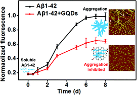 Graphical abstract: Graphene quantum dots for the inhibition of β amyloid aggregation