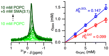 Graphical abstract: Nanoparticle self-assembly in mixtures of phospholipids with styrene/maleic acid copolymers or fluorinated surfactants