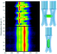 Graphical abstract: Determining the 3D orientation of optically trapped upconverting nanorods by in situ single-particle polarized spectroscopy