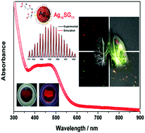 Graphical abstract: One-pot one-cluster synthesis of fluorescent and bio-compatible Ag14 nanoclusters for cancer cell imaging