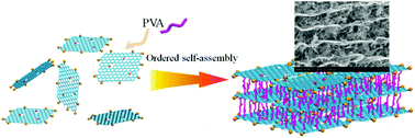 Graphical abstract: Ordered self-assembly of amphipathic graphene nanosheets into three-dimensional layered architectures