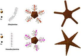 Graphical abstract: Gold–copper nanostars as photo-thermal agents: synthesis and advanced electron microscopy characterization
