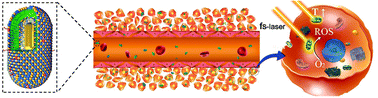 Graphical abstract: Rational assembly of a biointerfaced core@shell nanocomplex towards selective and highly efficient synergistic photothermal/photodynamic therapy