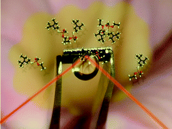 Graphical abstract: Detection of nerve gases using surface-enhanced Raman scattering substrates with high droplet adhesion