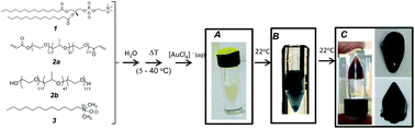 Graphical abstract: Cascade synthesis of a gold nanoparticle–network polymer composite