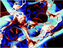 Graphical abstract: Construction of a 3D rGO–collagen hybrid scaffold for enhancement of the neural differentiation of mesenchymal stem cells