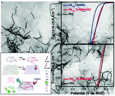 Graphical abstract: Ultrathin PdTe nanowires anchoring reduced graphene oxide cathodes for efficient hydrogen evolution reaction