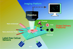 Graphical abstract: Nanoscale bio-platforms for living cell interrogation: current status and future perspectives