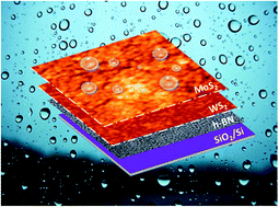 Graphical abstract: Surface energy and wettability of van der Waals structures