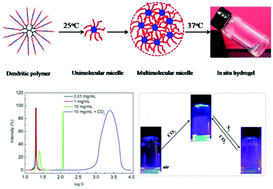 Graphical abstract: CO2-switchable fluorescence of a dendritic polymer and its applications