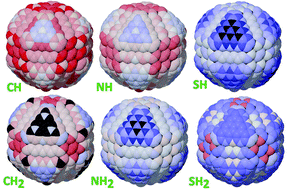 Graphical abstract: Site-dependent atomic and molecular affinities of hydrocarbons, amines and thiols on diamond nanoparticles