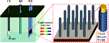 Graphical abstract: Carbon quantum dots decorated Cu2S nanowire arrays for enhanced photoelectrochemical performance