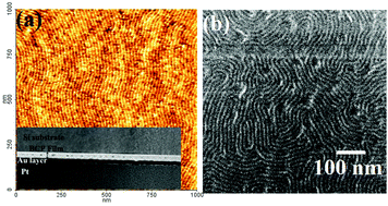 Graphical abstract: Fabrication of ultra-dense sub-10 nm in-plane Si nanowire arrays by using a novel block copolymer method: optical properties