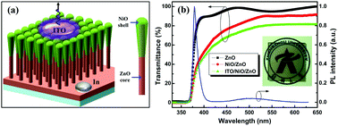 Graphical abstract: Semi-transparent all-oxide ultraviolet light-emitting diodes based on ZnO/NiO-core/shell nanowires
